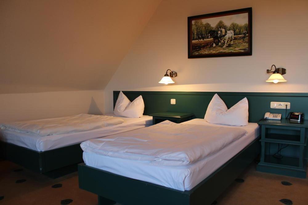 Mueritz Landhotel Gruener Baum Gotthun Ruang foto